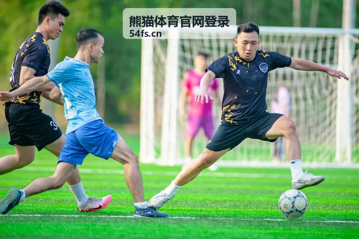 熊猫体育观赛服务方案查看